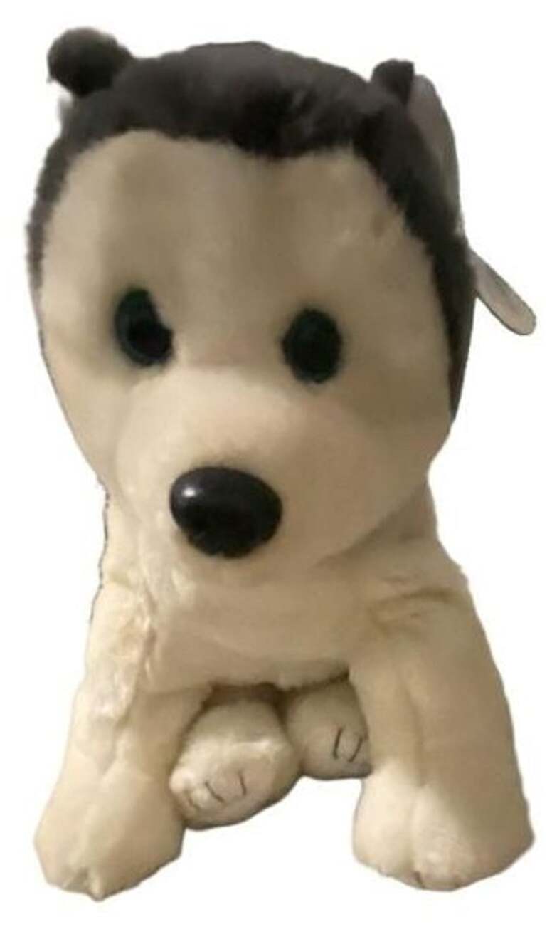 Retired “ Nanook The Husky” Plush Dog TY Beanie Buddy 12”